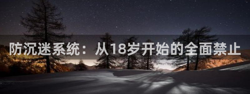 防沉迷系统：从18岁开始的全面禁止