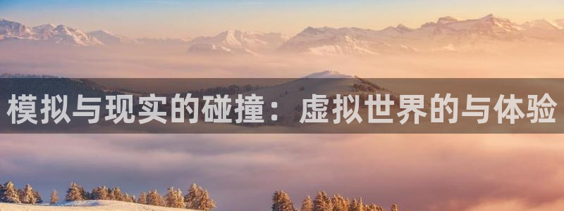 模拟与现实的碰撞：虚拟世界的与体验