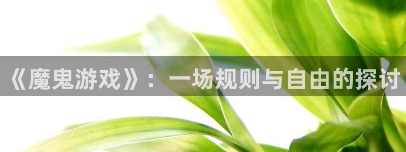 k8凯发天生赢家玩法：《魔鬼游戏》：一场规则与自由的探讨