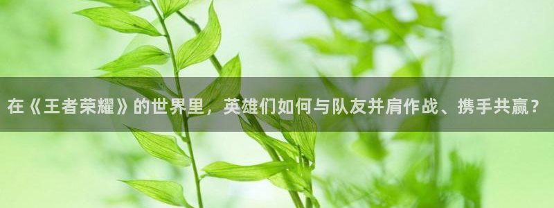 k8凯发数字是正规公司吗：在《王者荣耀》的世界里，英雄们如何