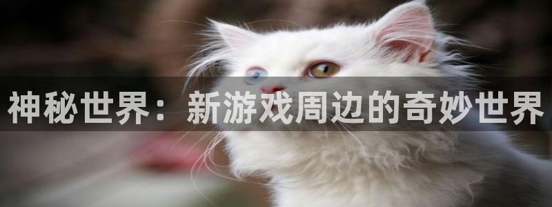 k8凯发天生赢家正规吗