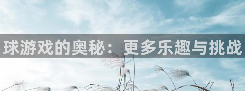 k8凯发网页打不开?：球游戏的奥秘：更多乐趣与挑战