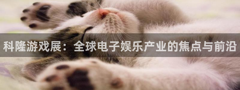 K8凯发(中国)天生赢家·一触即发：科隆游戏展：全球电子娱乐