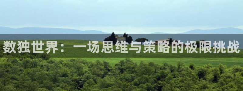 k8凯发是做什么的：数独世界：一场思维与策略的极限挑战