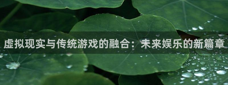 k8凯发黑不黑吗值得买吗：虚拟现实与传统游戏的融合：未来娱乐